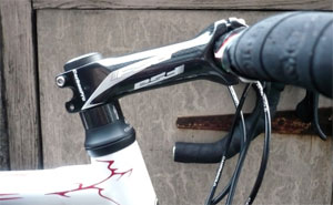 fsa stem