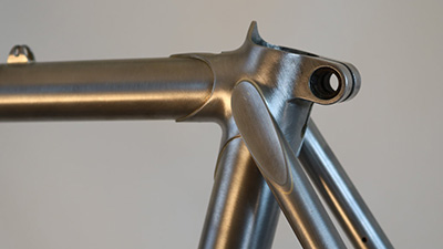 accipiter cycles
