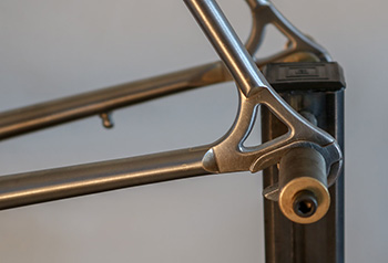 accipiter cycles