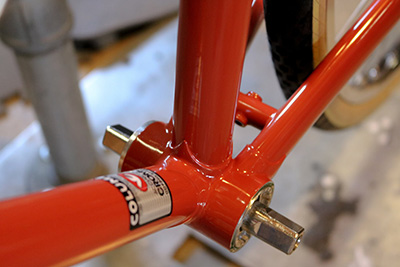 accipiter cycles
