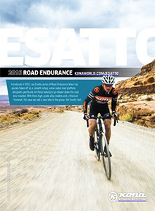 kona advert