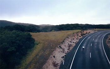 cameron nicholls new zealand ride
