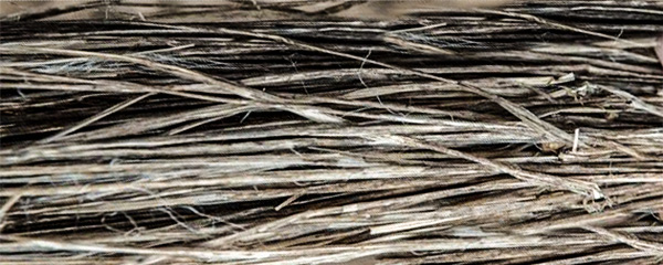 flax fibres