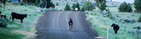 breadwinner cycles b-road
