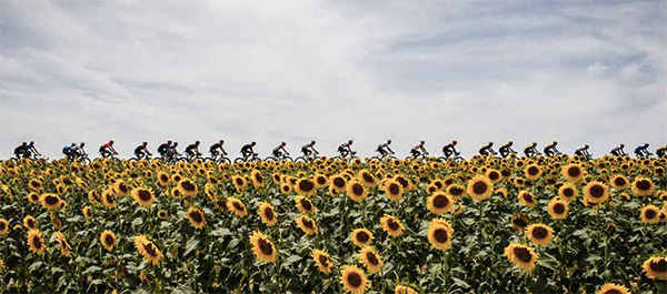 tour de france