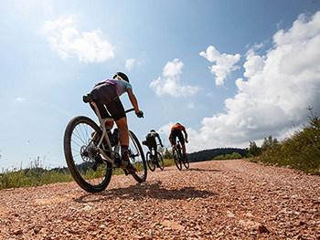 campagnolo ekar