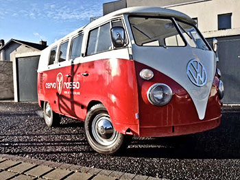 cervo rosso vw bus