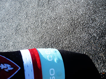 cervo rosso corsa jersey