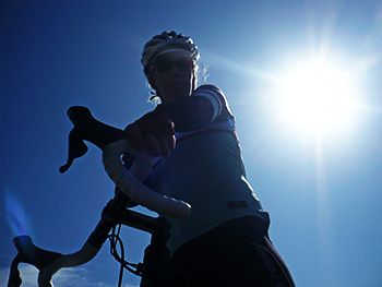 cervo rosso corsa jersey