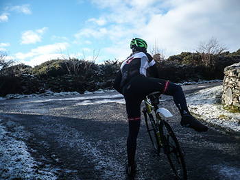 cervo rosso strada 2.0 jersey