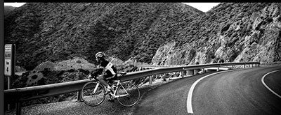 cervo rosso test team