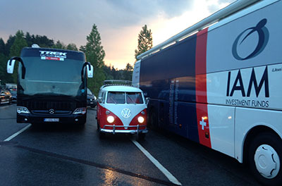 cervo rosso at three