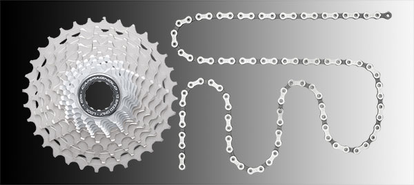 campagnolo twelve-speed