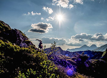 chalet col des aravis