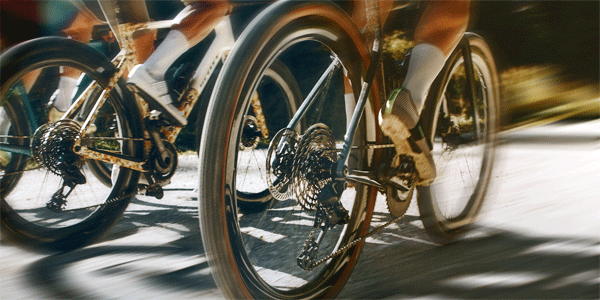 campagnolo derailleur