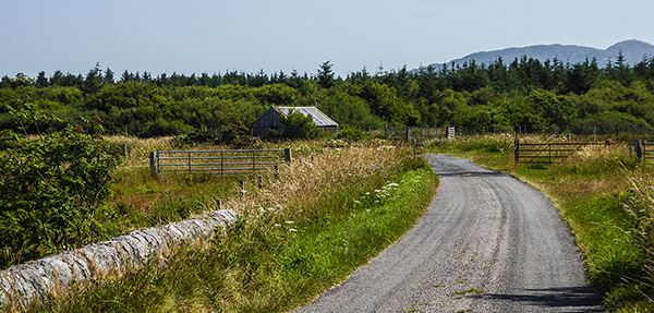 glen road
