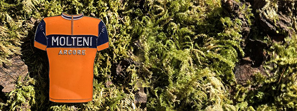Powell River Books Blog Coastal Bc Plants Sweet Gale