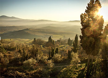 citalia