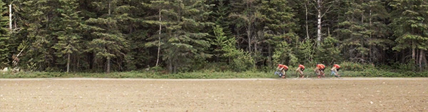 collective parlee cycles