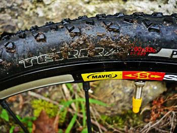 specialized terra cross tyre