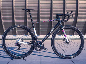rouleur titici bike