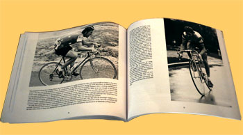 a bit of an all rounder