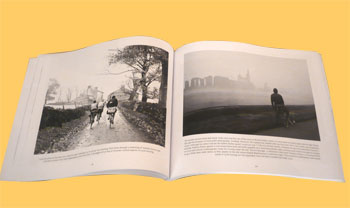 a bit of an all rounder