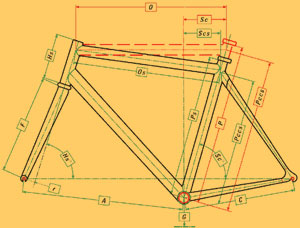 colnago_measure