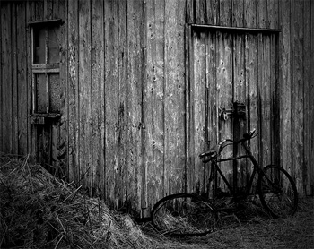 bikeshed