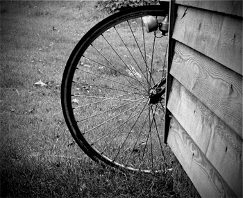 bikeshed