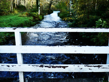 bridgend woods