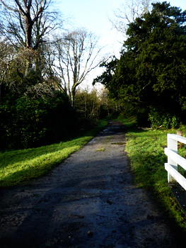 bridgend woods