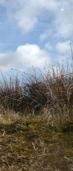 is tarmac over-rated?