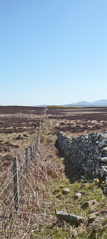 is tarmac over-rated?