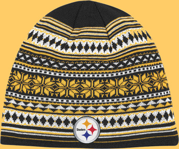 pittsburgh steelers