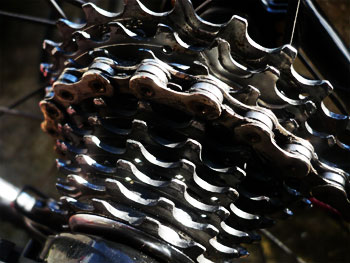 campagnolo cassette