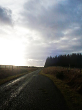 abattoirenberg forest