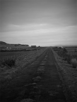 the belgian road