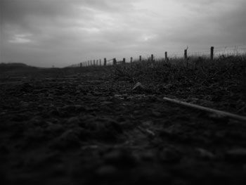 the belgian road