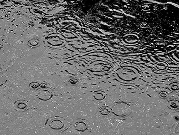 rain