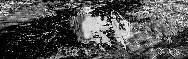 mud