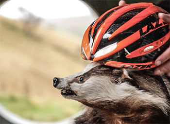 crossmas on the pennines