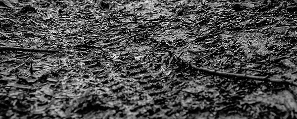 cyclist off-road magazine