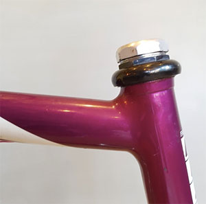 moser leader ax