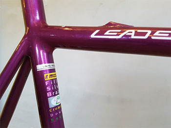 moser leader ax