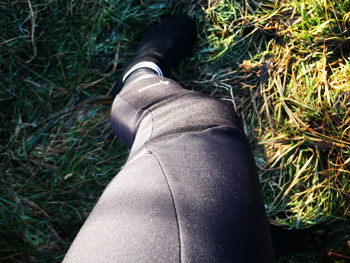 dhb roubaix tights