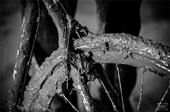 geoff waugh cyclocross nationals 2016