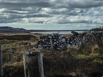 i can hear the grass grow