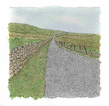 a cycling year - heather dawe