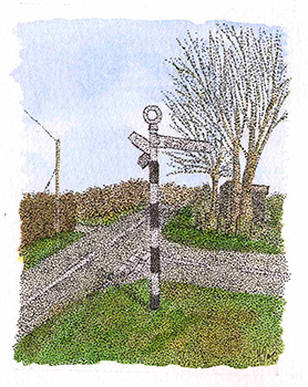 a cycling year - heather dawe